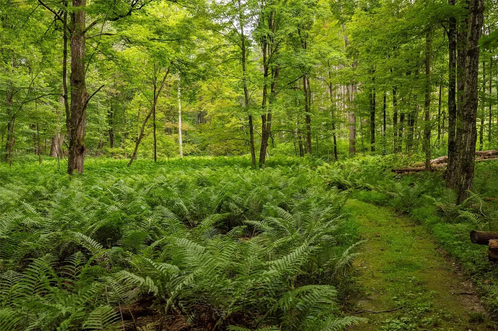 60 County Route 7 Pine Plains NY 12567