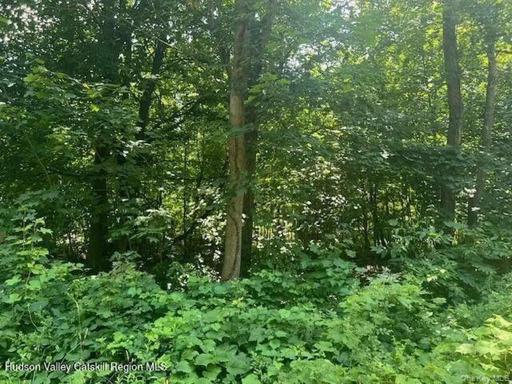 7 Ulster Avenue Esopus NY 12487