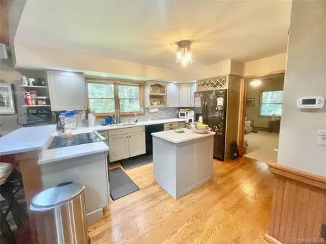 111 Deer Meadow Road Bethel NY 12720