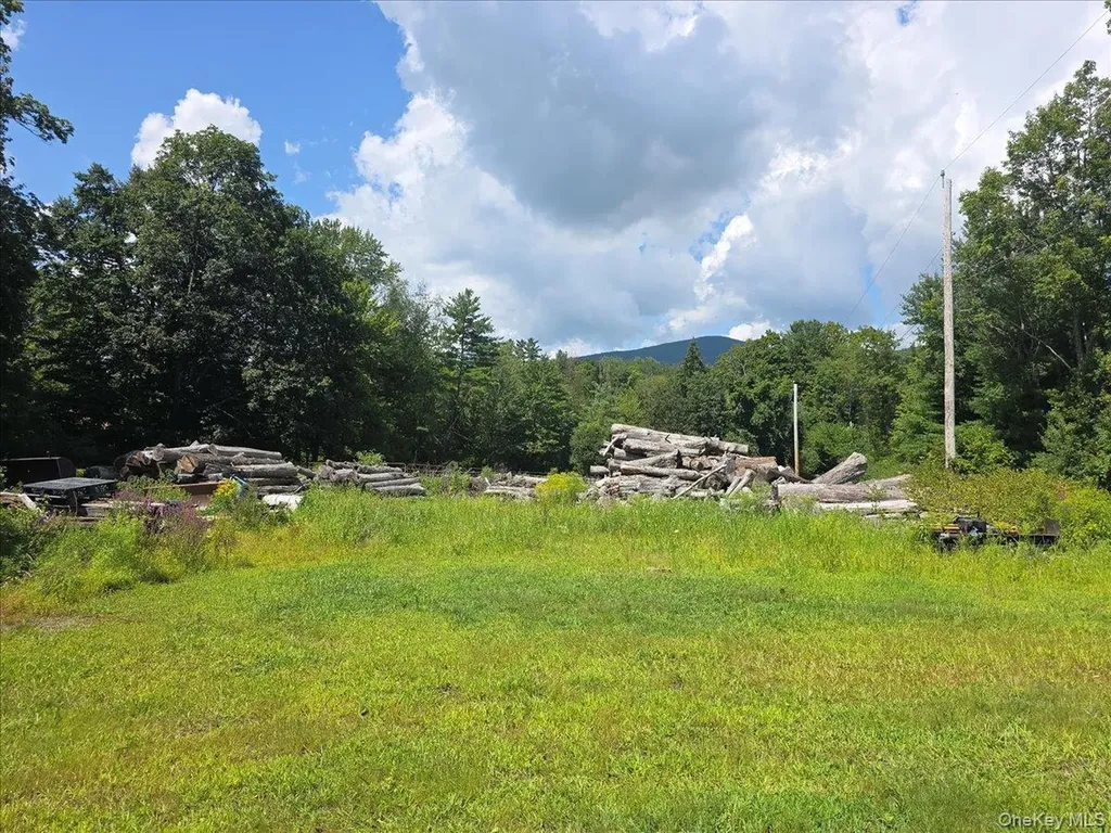 2914 State Route 28 Shokan NY 12481