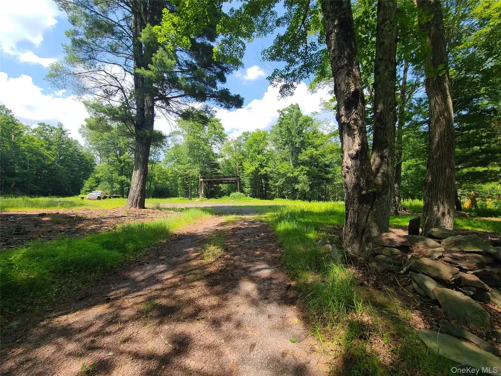 41 Martin Lane Mongaup Valley NY 12762