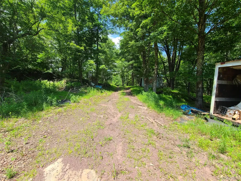 41 Martin Lane Mongaup Valley NY 12762