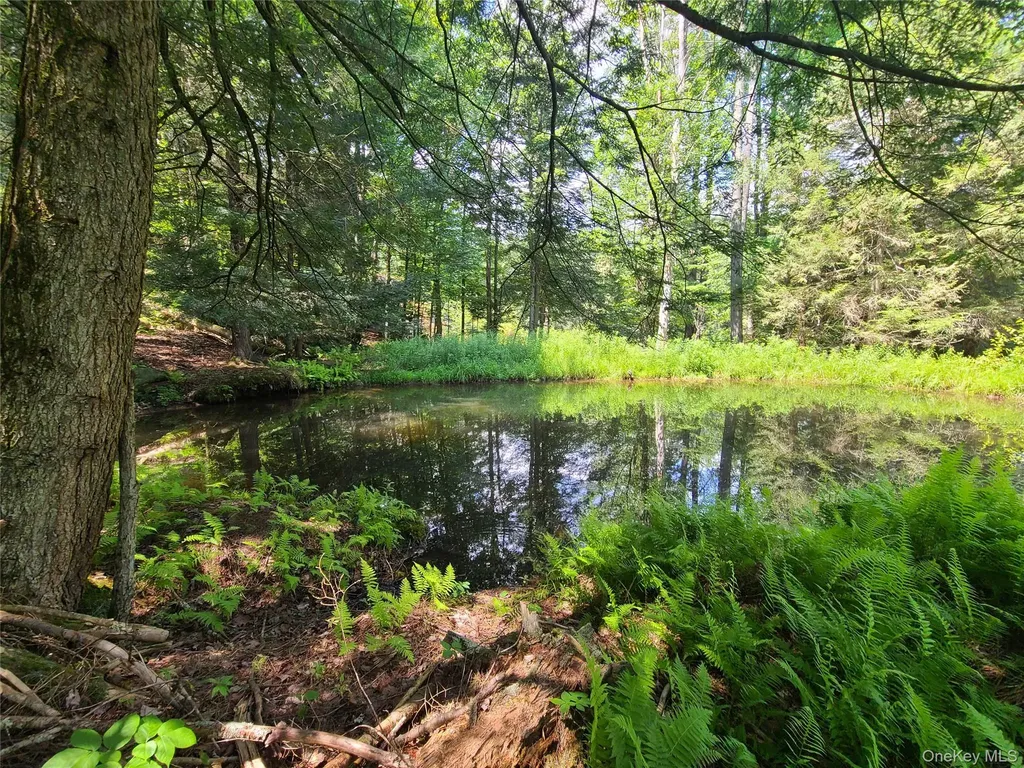 41 Martin Lane Mongaup Valley NY 12762