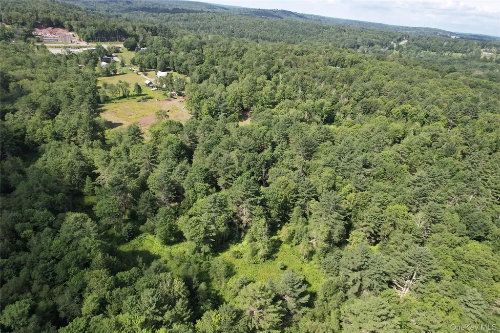 41 Martin Lane Mongaup Valley NY 12762