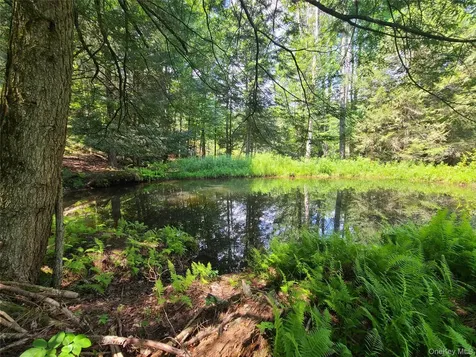 41 Martin Lane Mongaup Valley NY 12762