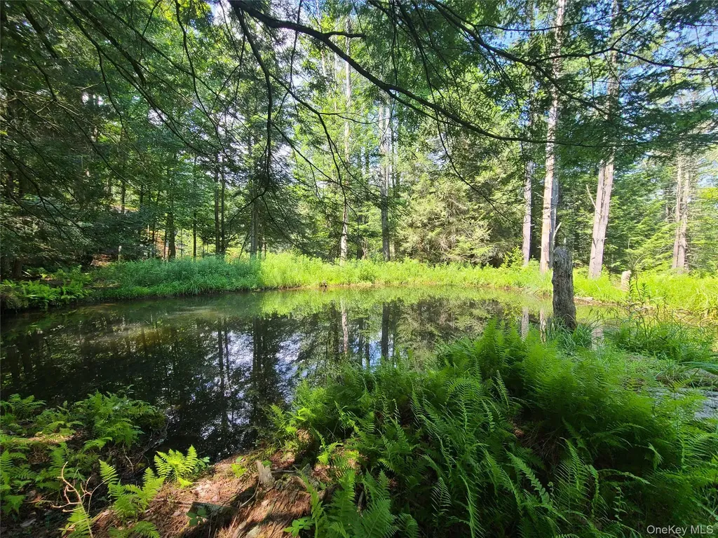 28 Martin Lane Mongaup Valley NY 12762