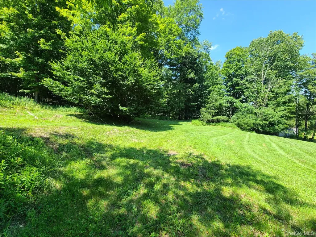 28 Martin Lane Mongaup Valley NY 12762