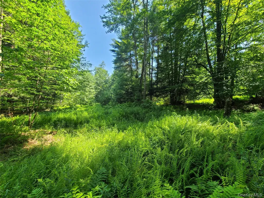 28 Martin Lane Mongaup Valley NY 12762