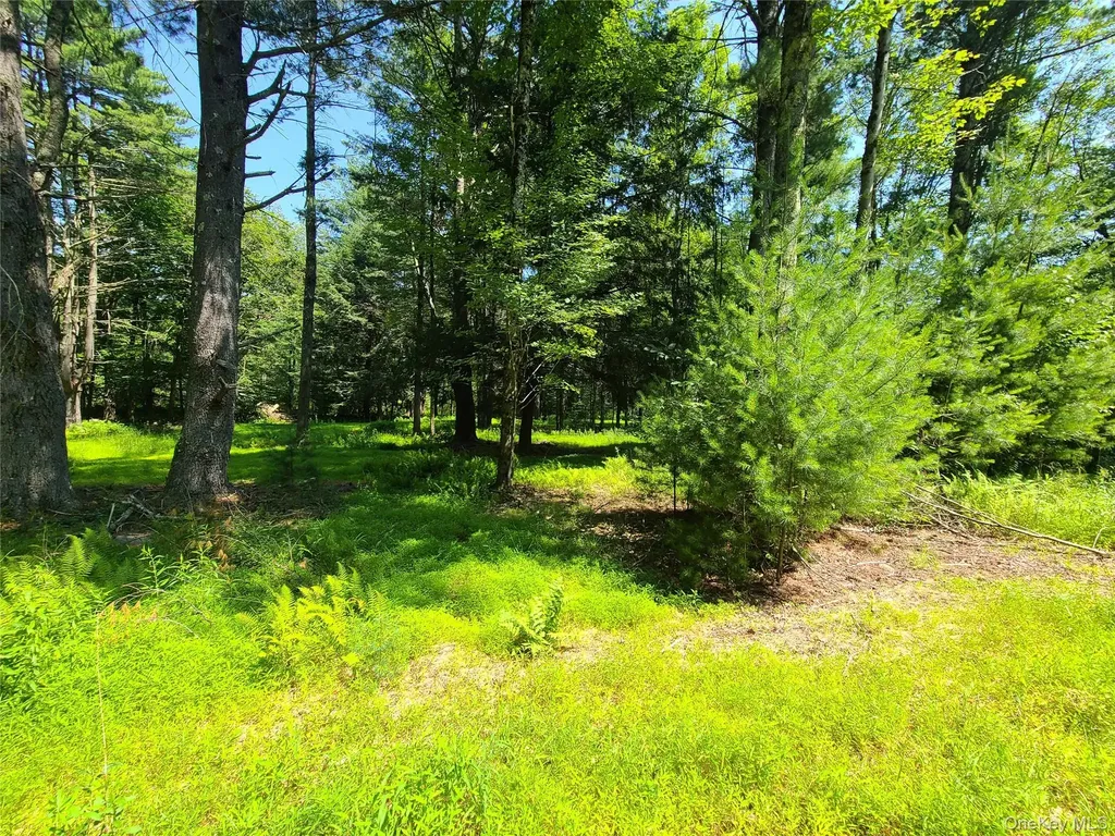 28 Martin Lane Mongaup Valley NY 12762