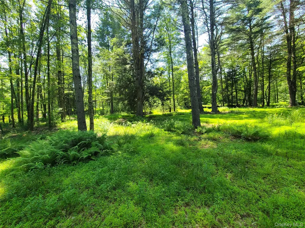 28 Martin Lane Mongaup Valley NY 12762