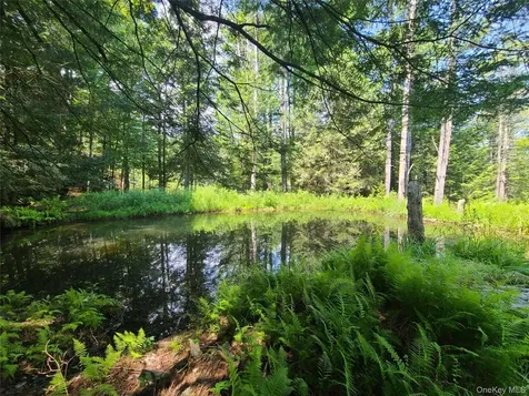 28 Martin Lane Mongaup Valley NY 12762