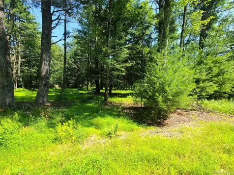 28 Martin Lane Mongaup Valley NY 12762