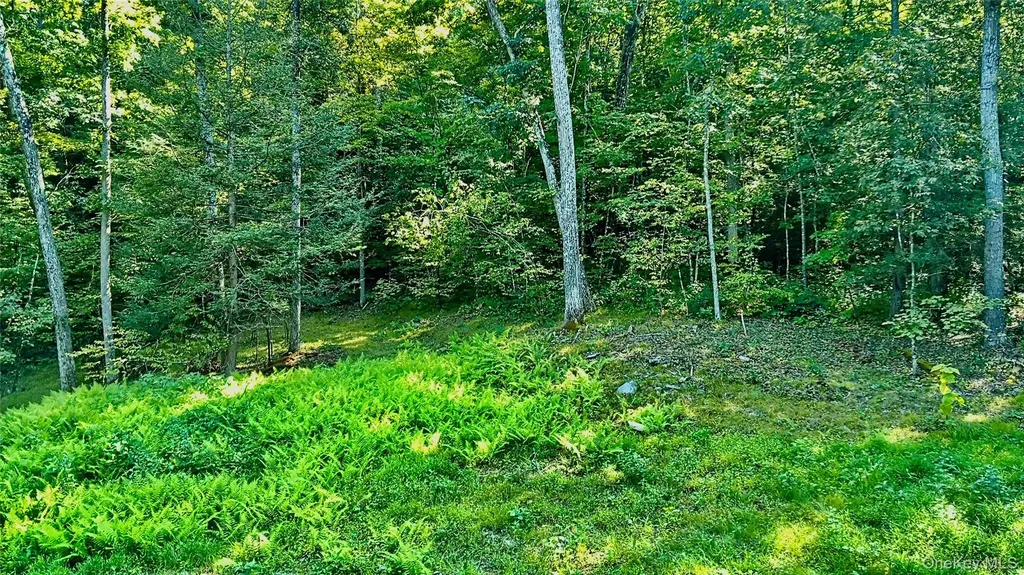 80 Forever Ivy Lane Hyde Park NY 12538