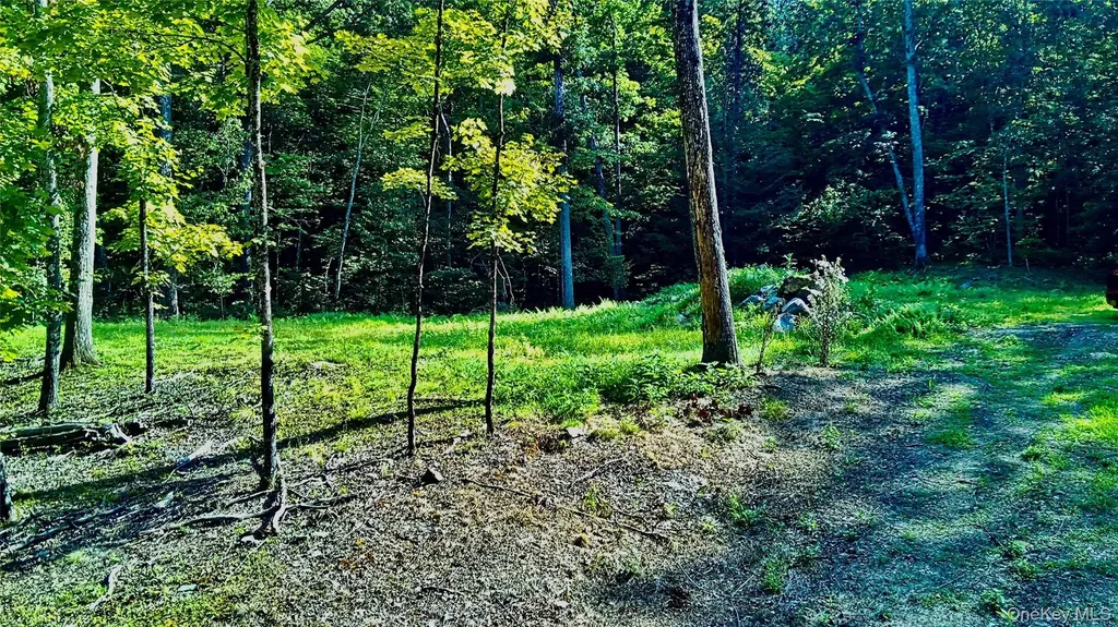 80 Forever Ivy Lane Hyde Park NY 12538