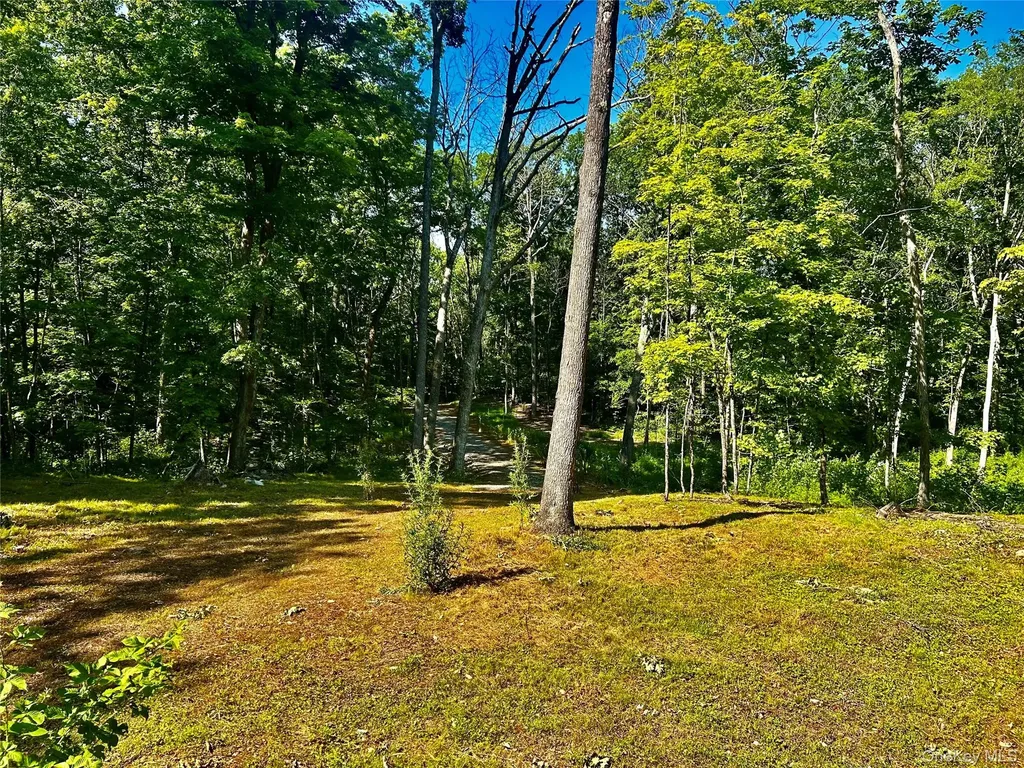 80 Forever Ivy Lane Hyde Park NY 12538