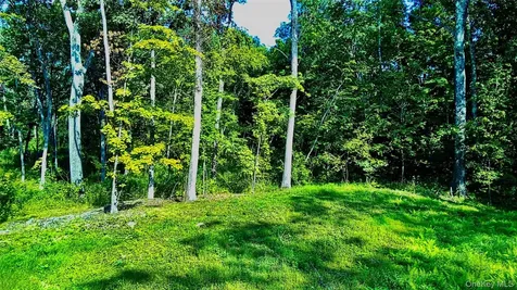 80 Forever Ivy Lane Hyde Park NY 12538
