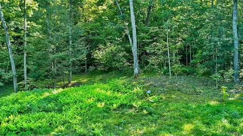 80 Forever Ivy Lane Hyde Park NY 12538