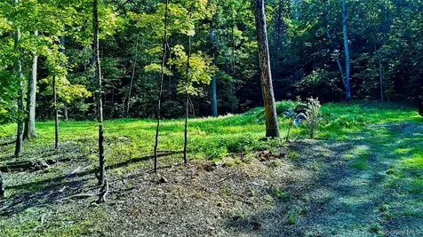 80 Forever Ivy Lane Hyde Park NY 12538