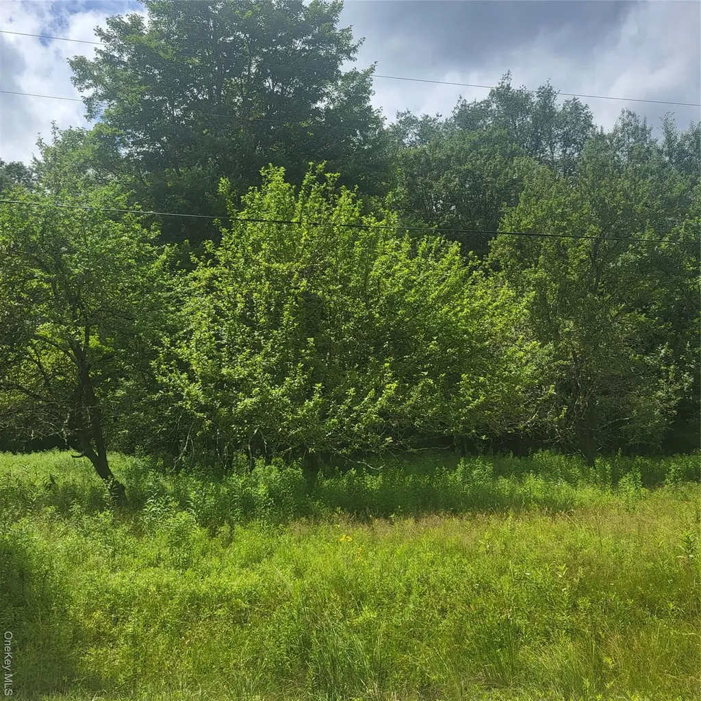 ** Creamery Road Mongaup Valley NY 12720