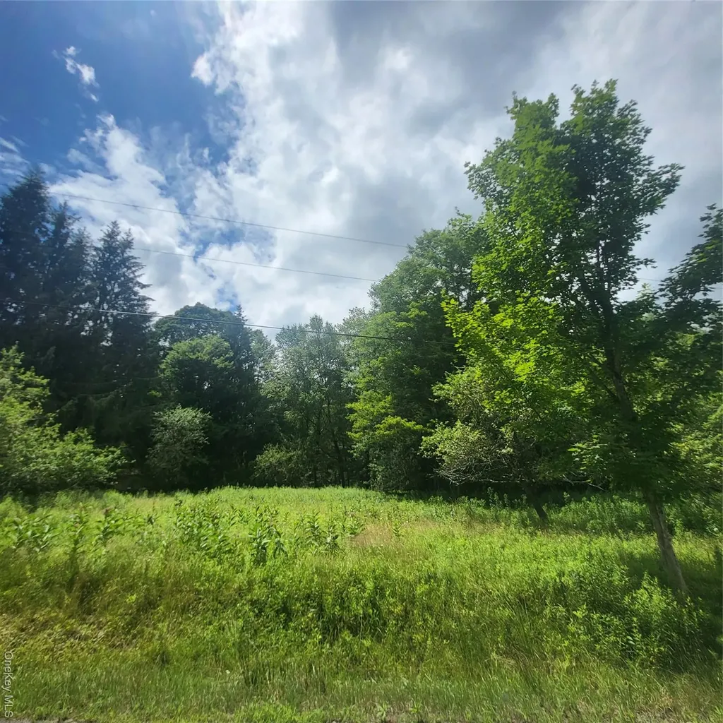 ** Creamery Road Mongaup Valley NY 12720