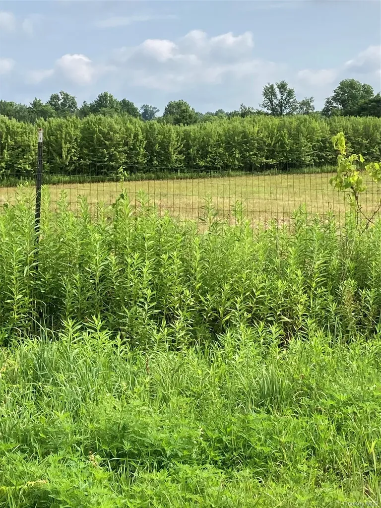 2660 State Route 208 Montgomery NY 12586