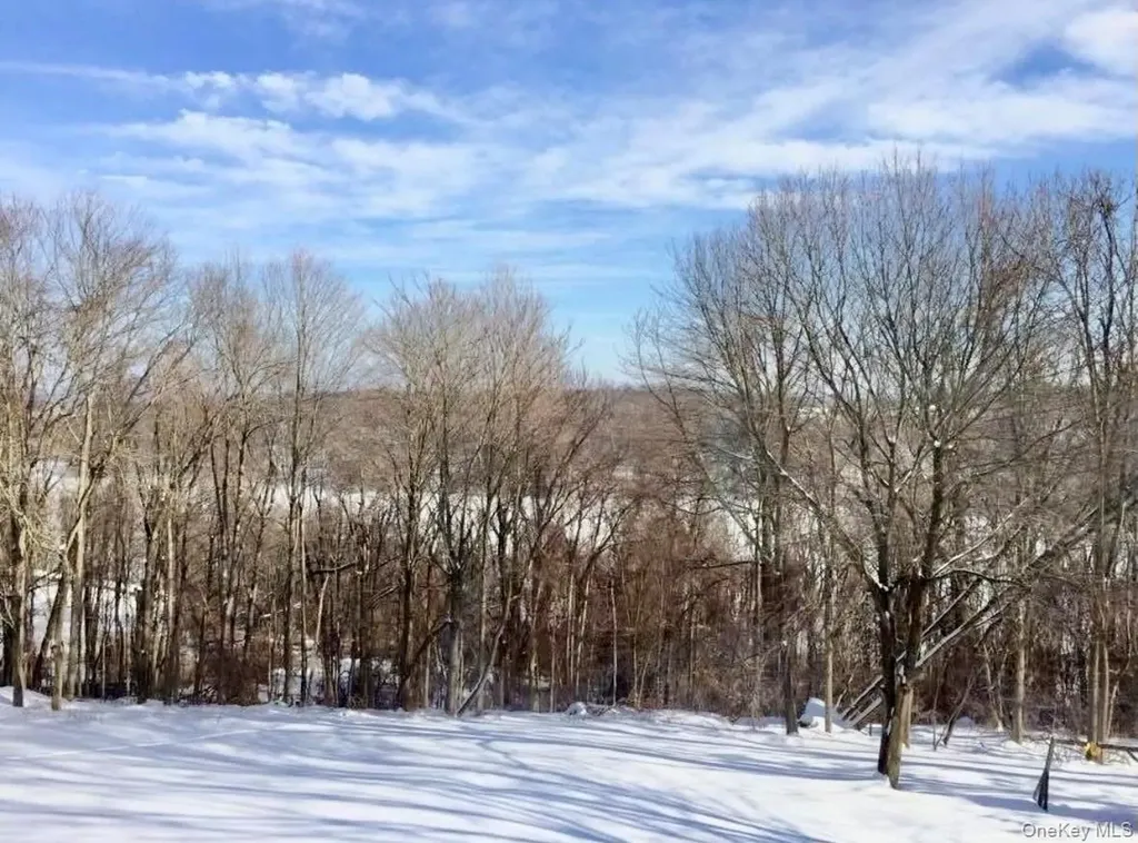 3 Farese Way Amawalk NY 10501