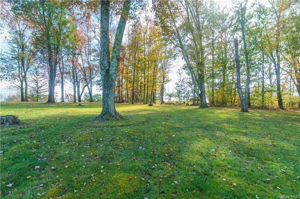 9 Low Road Wallkill NY 12589