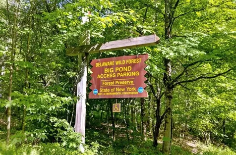 2018 Beaverkill Road Livingston Manor NY 12758