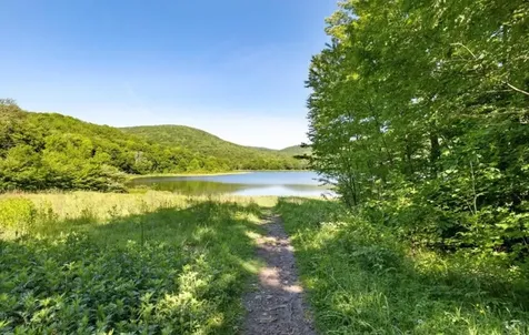 2018 Beaverkill Road Livingston Manor NY 12758