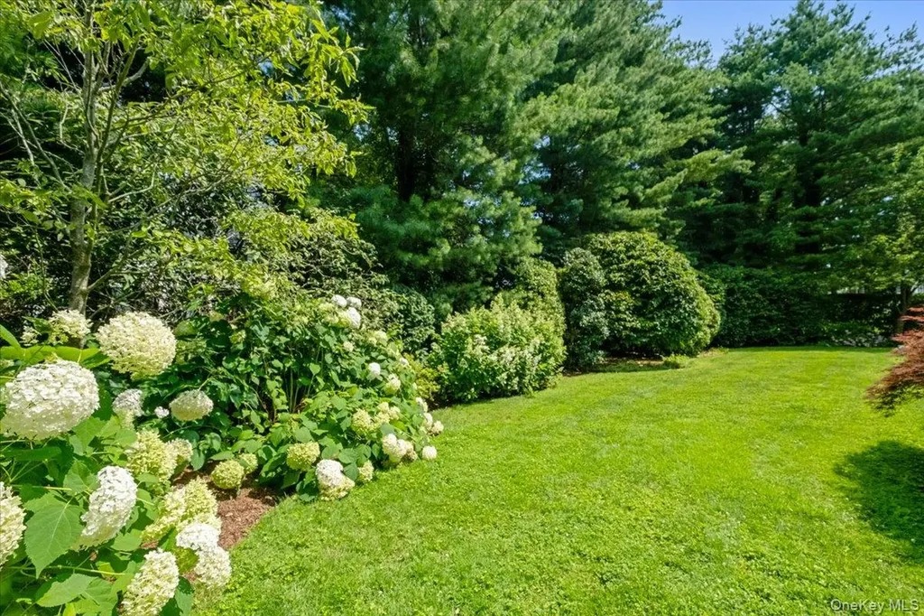 21 Orchard Road Larchmont NY 10538