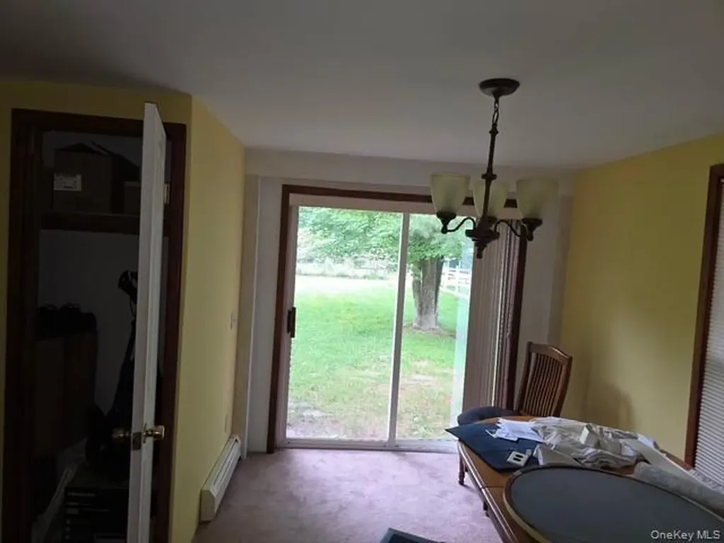 3099 17b Cochecton NY 12737