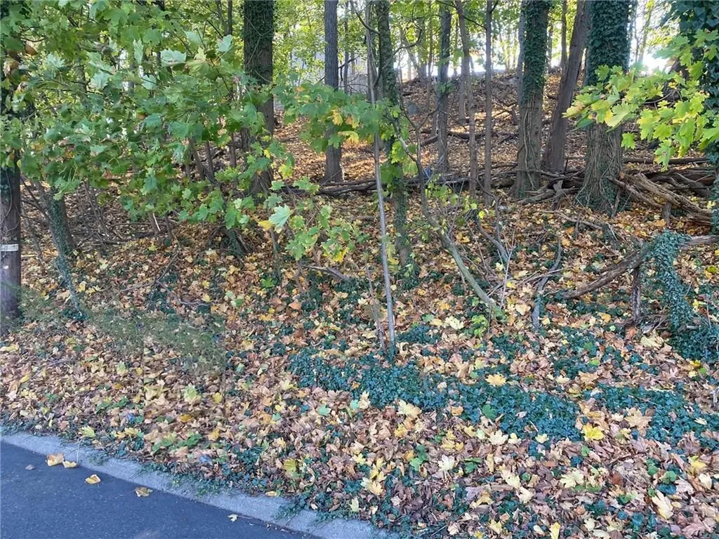 0 Ashford Avenue Dobbs Ferry NY 10522