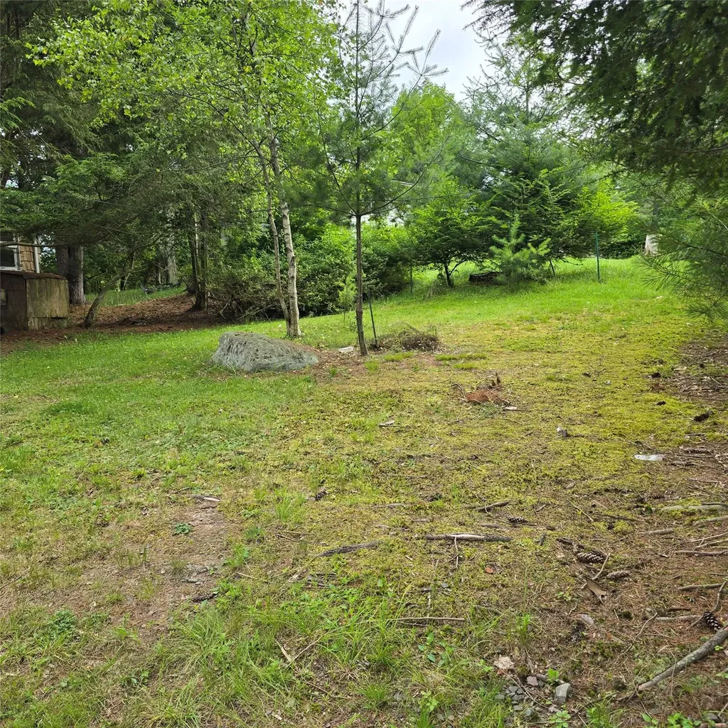 11 Ann Lane Mountain Dale NY 12763