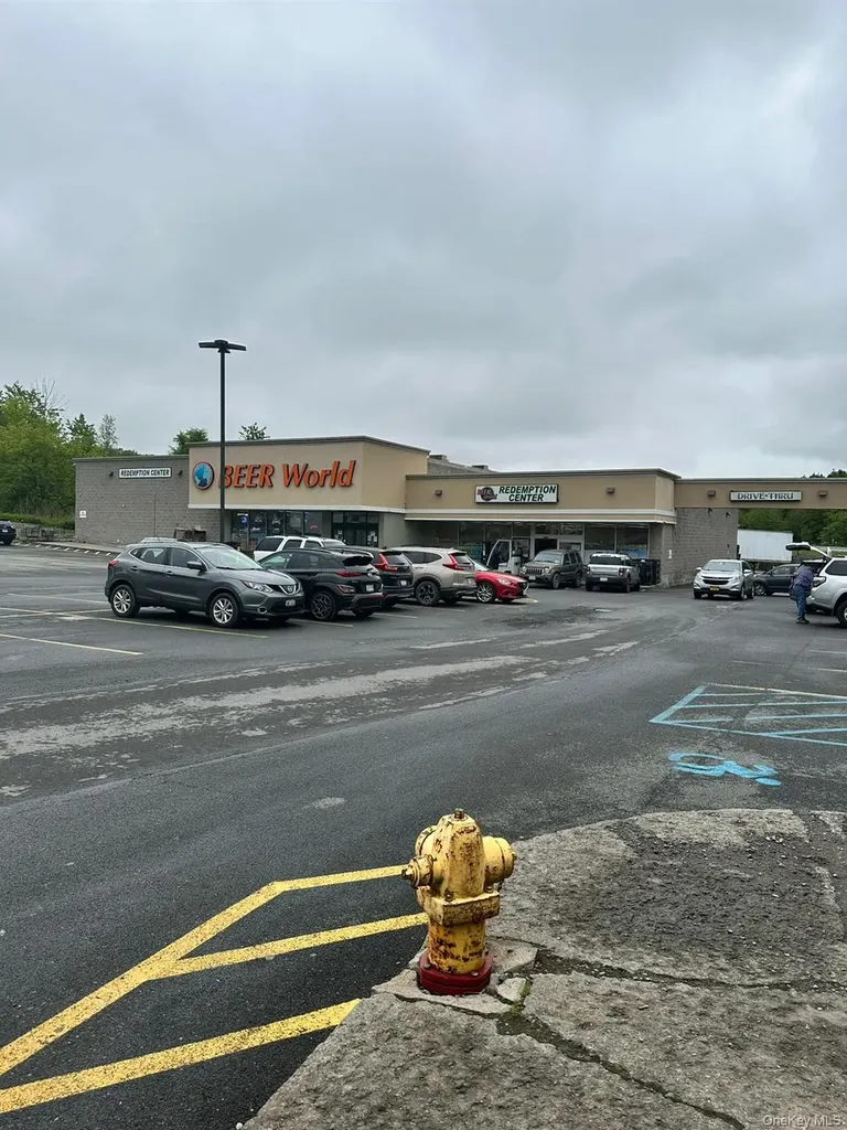 187 Mill Street Liberty NY 12754