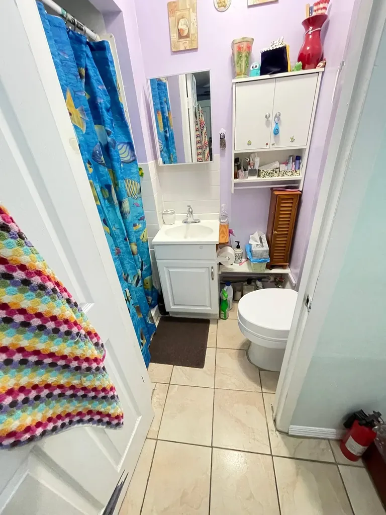 351 Autumn Avenue Brooklyn NY 11208