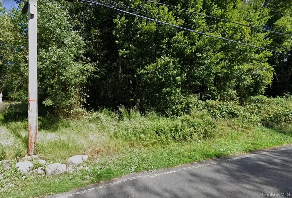 3 Mayer Lane Pomona NY 10970