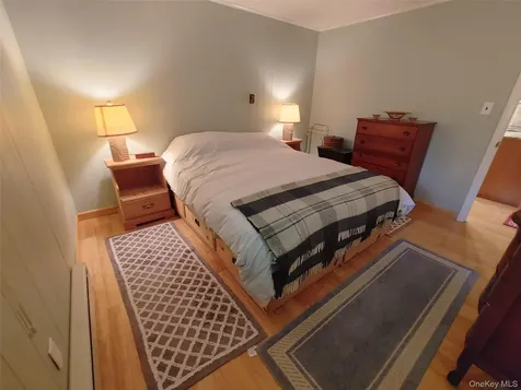 249 High Street Phoenicia NY 12464