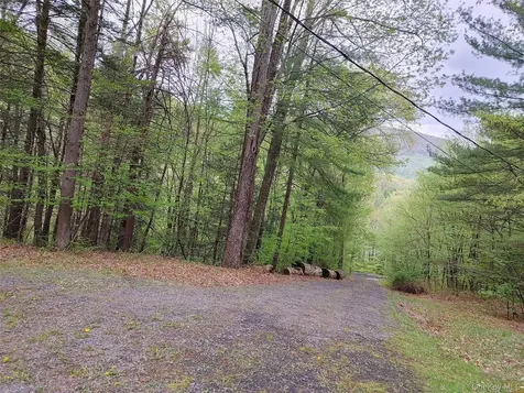249 High Street Phoenicia NY 12464