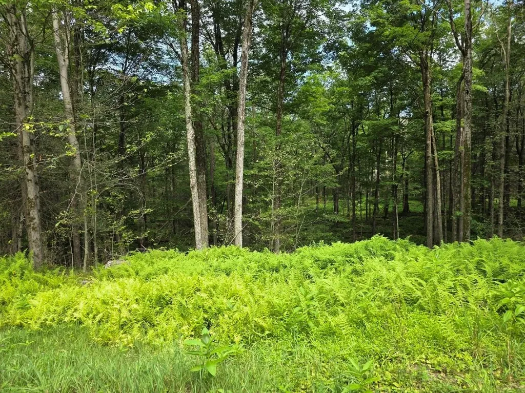 Gregory Road Monticello NY 12701