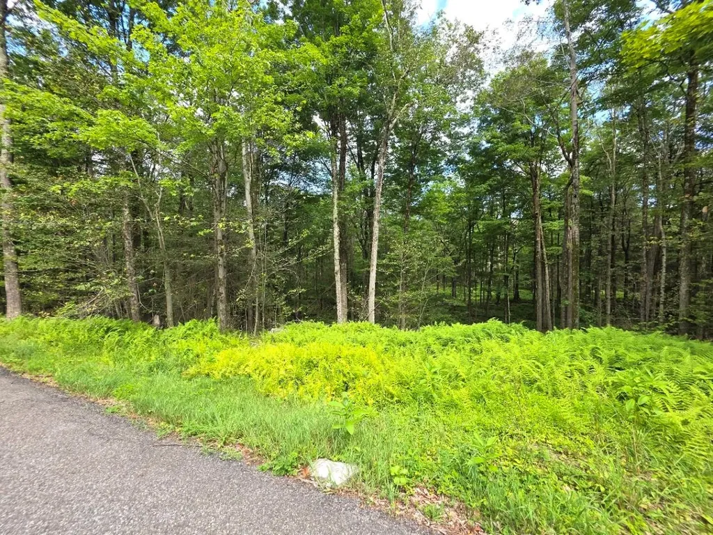 Gregory Road Monticello NY 12701