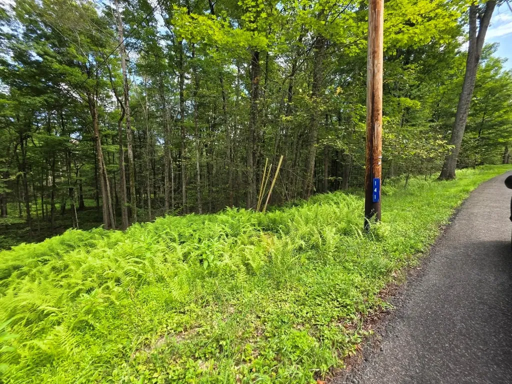 Gregory Road Monticello NY 12701
