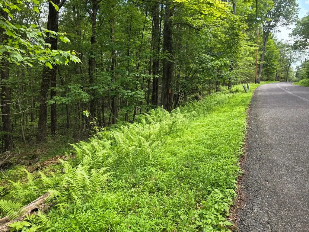 Gregory Road Monticello NY 12701