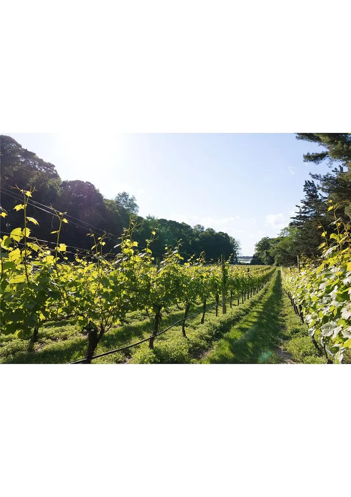 18 Wilderness Road Saint James NY 11780