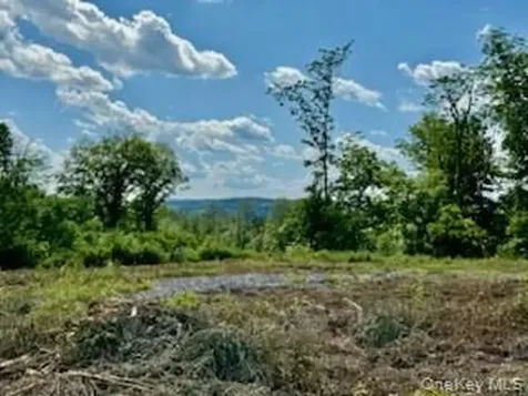 8 Chelsea Road Hughsonville NY 12590