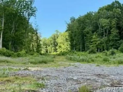1 Chelsea Road Hughsonville NY 12590