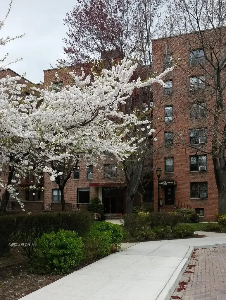 150-15 72 Road Flushing NY 11367