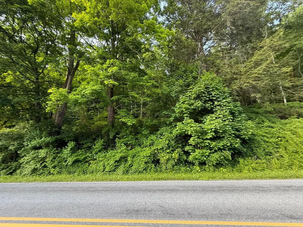 591 Bog Hollow Road Wassaic NY 12592