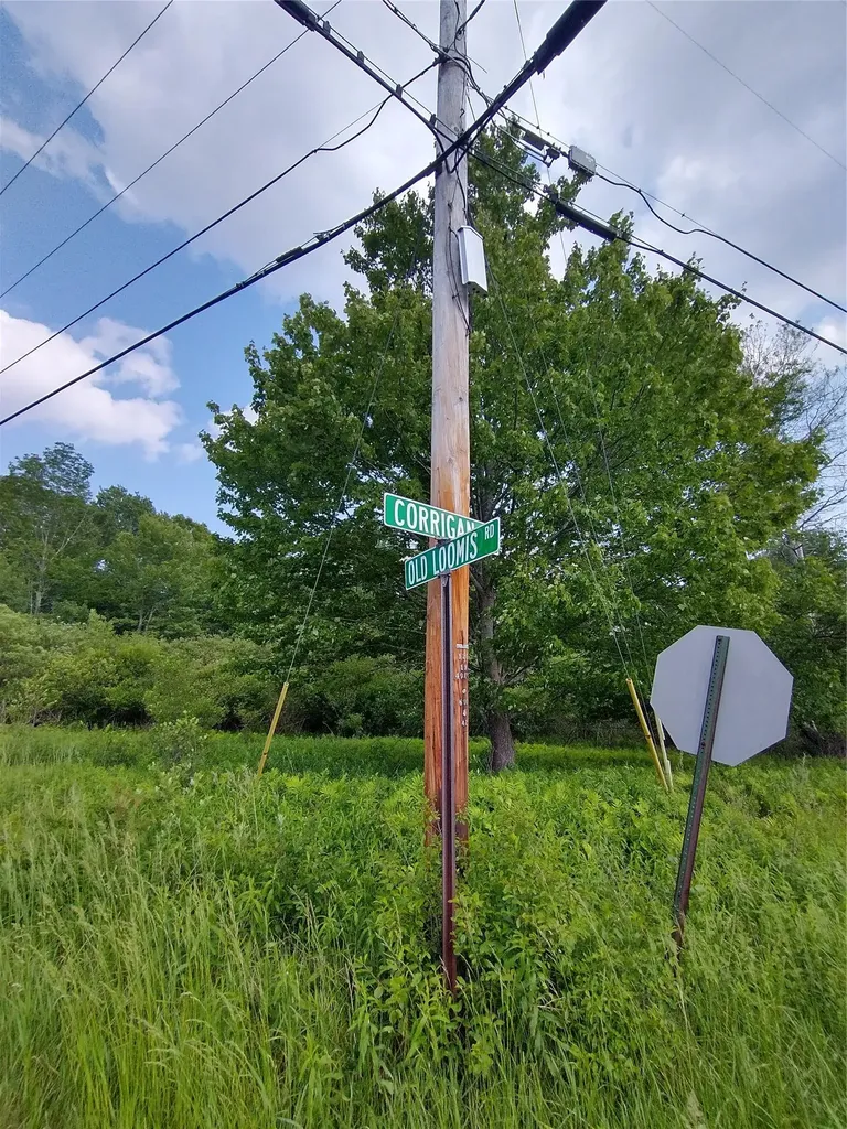 Old Loomis Road Liberty NY 12734