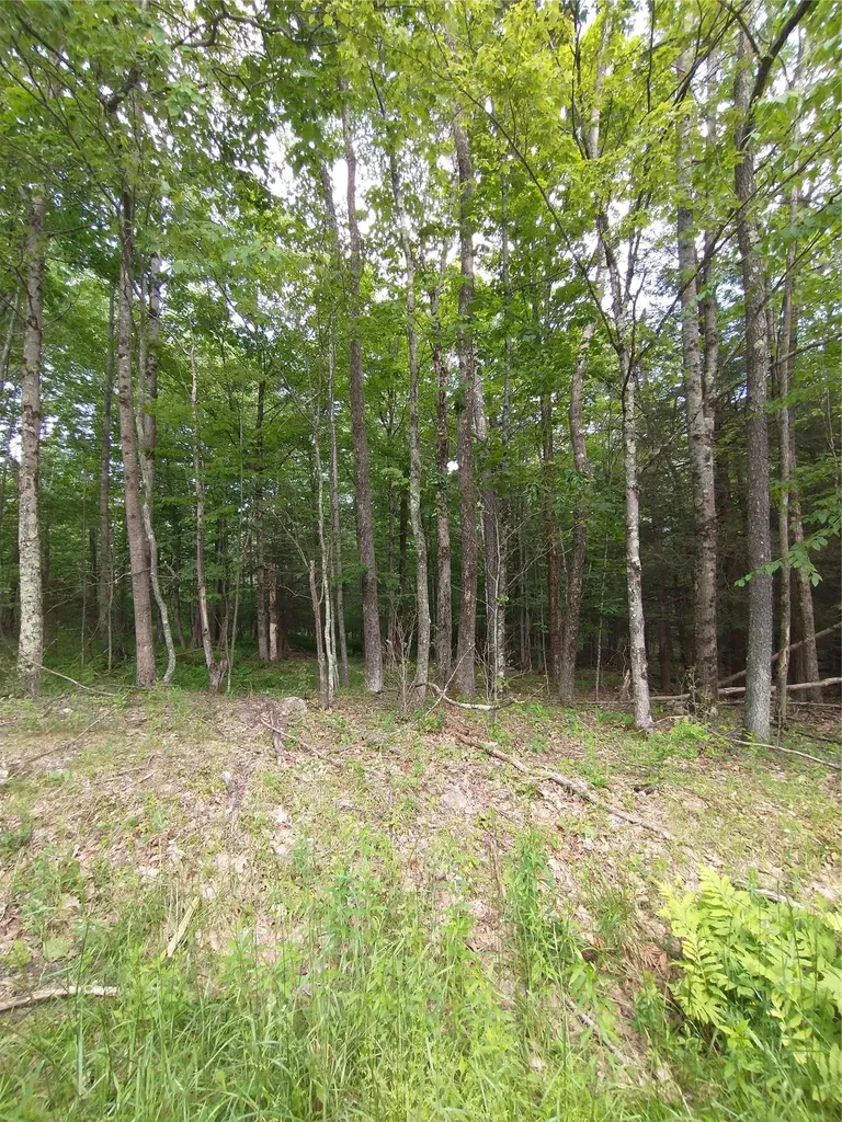 Old Loomis Road Liberty NY 12734