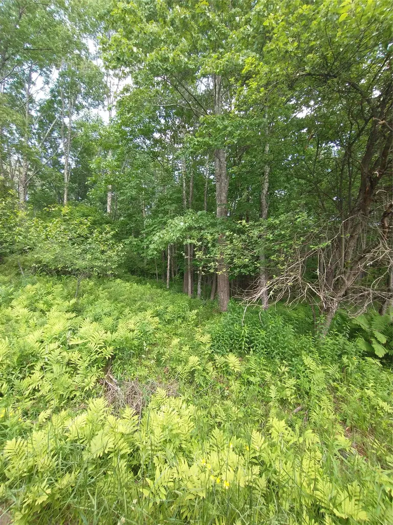 Old Loomis Road Liberty NY 12734